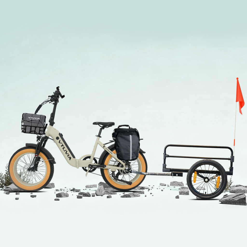 VTUVIA SX20 Folding Ebike