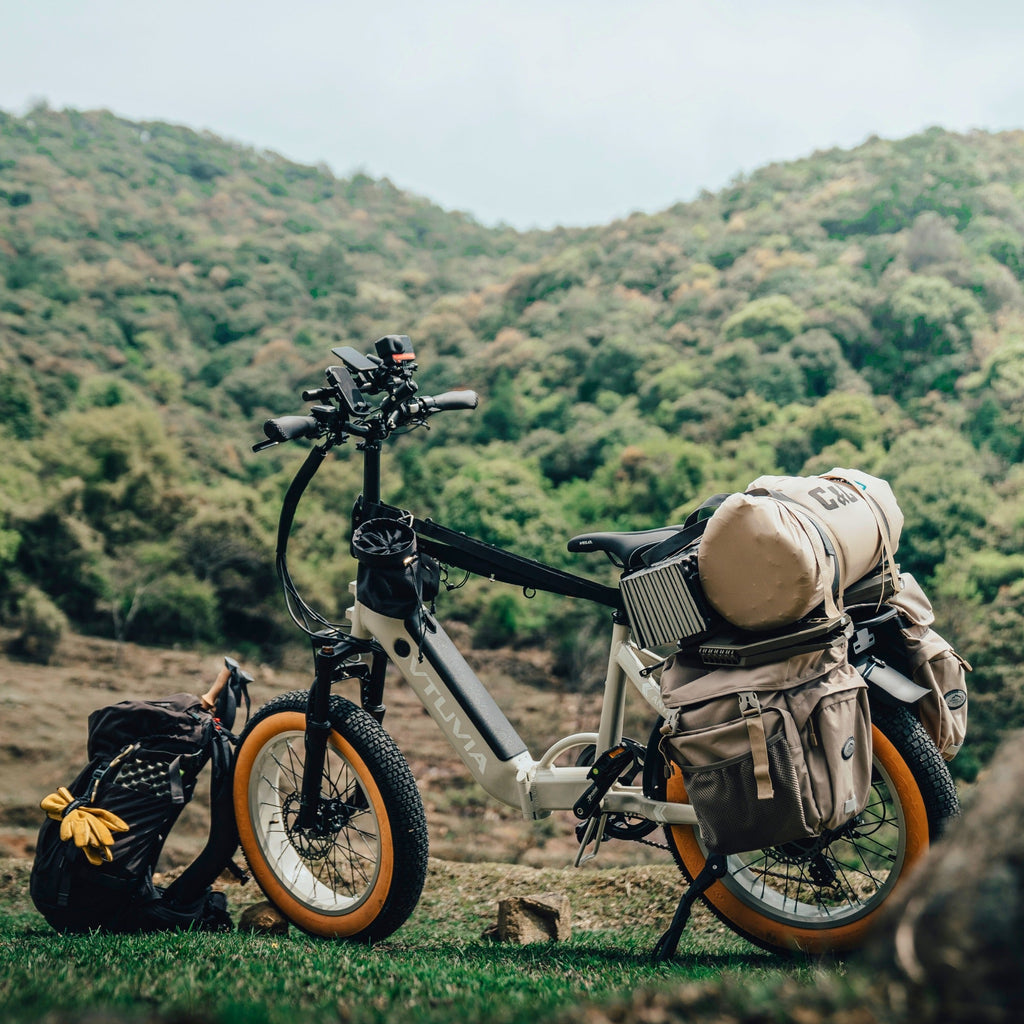 VTUVIA SX20 Folding Ebike