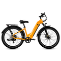 VTUVIA Zeal LT7 Ebike